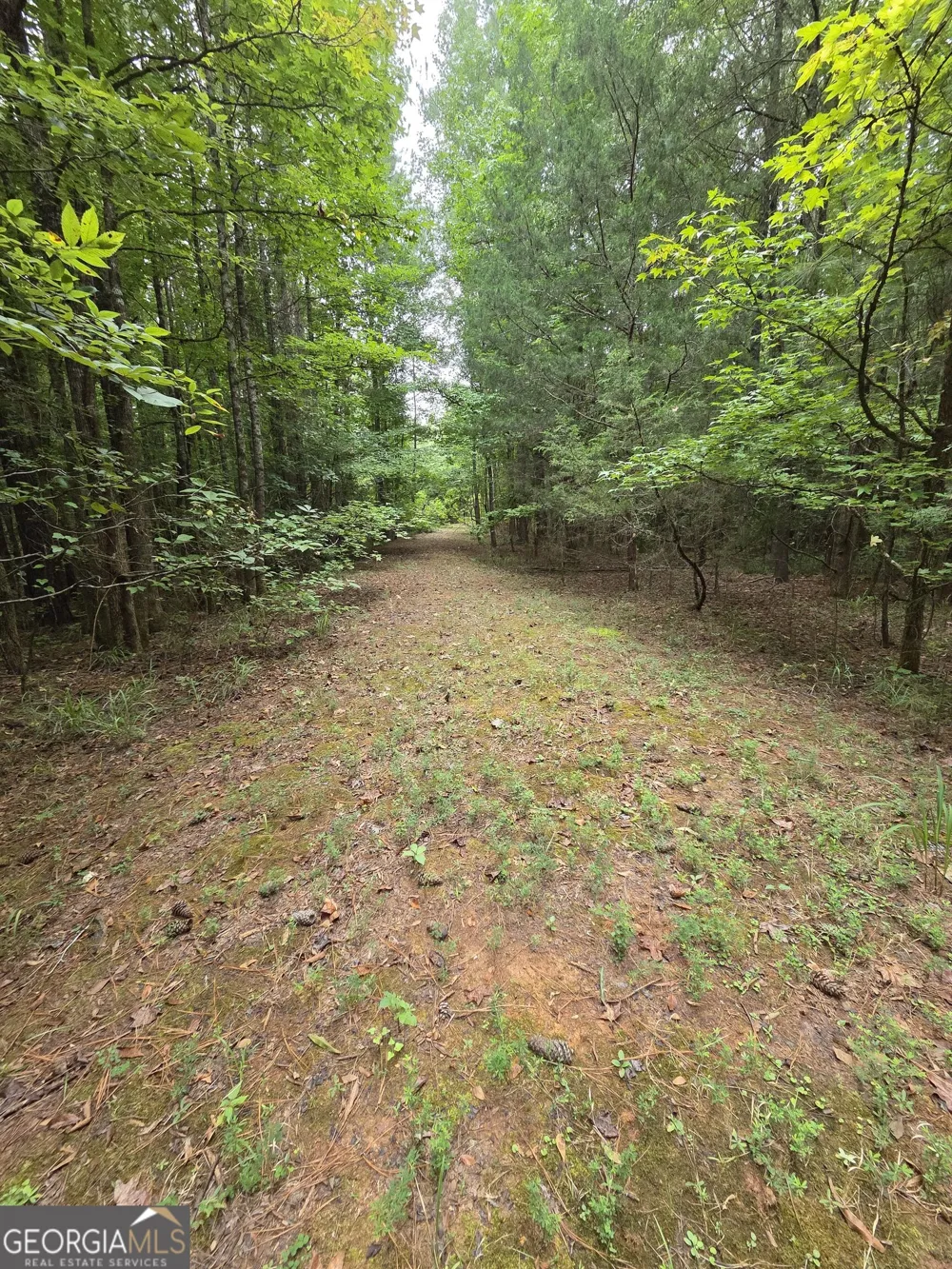 0 Brownlee Road Forsyth, GA 31029