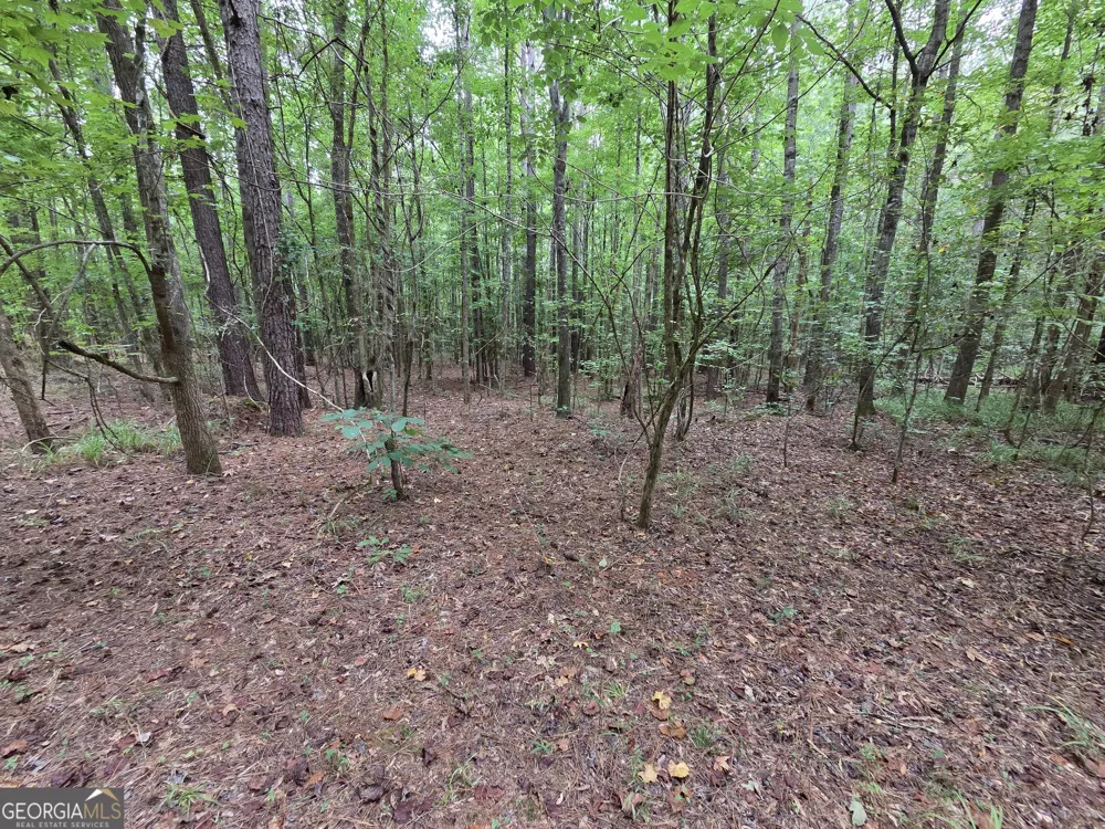 0 Brownlee Road Forsyth, GA 31029