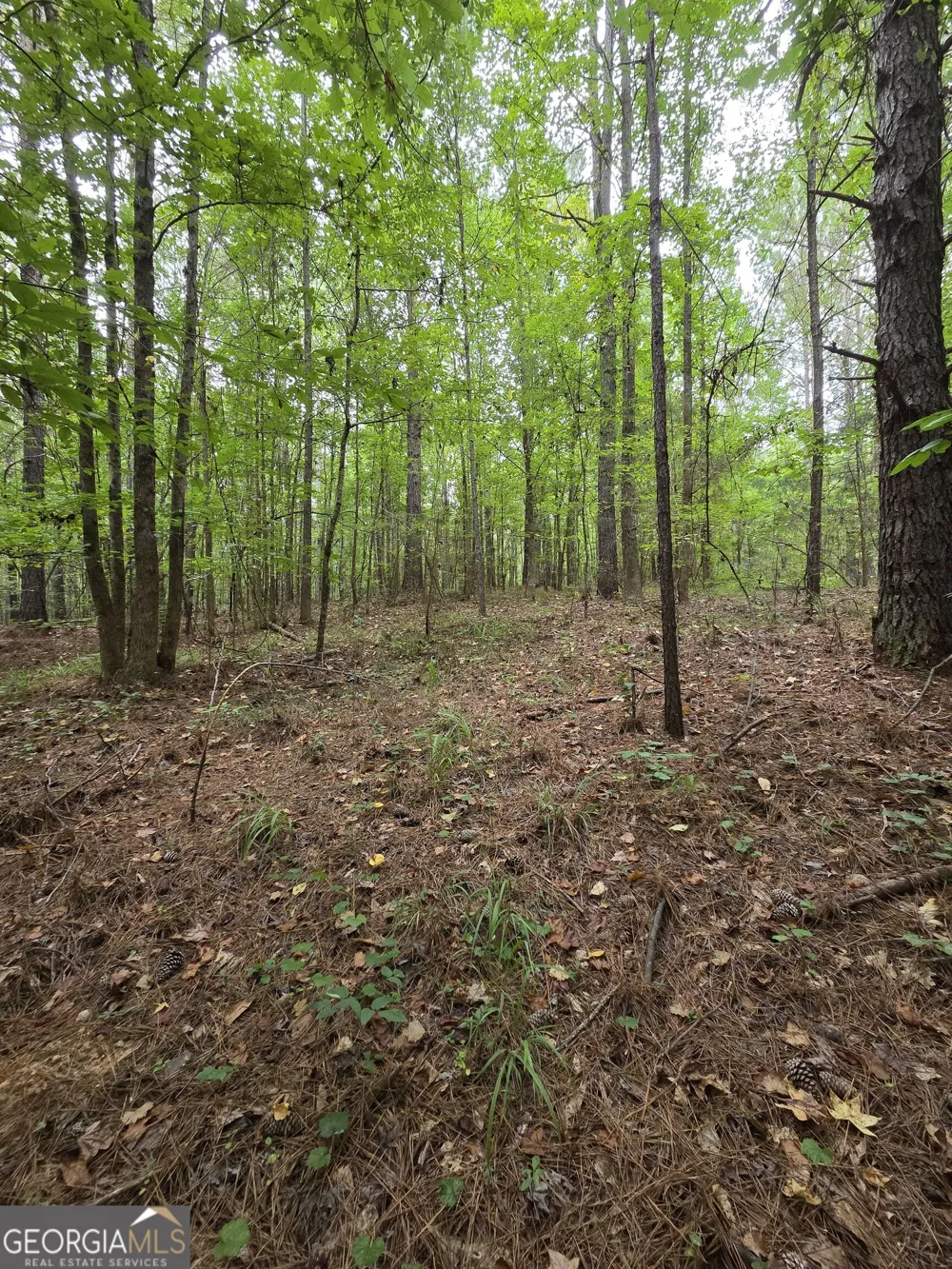 0 Brownlee Road Forsyth, GA 31029