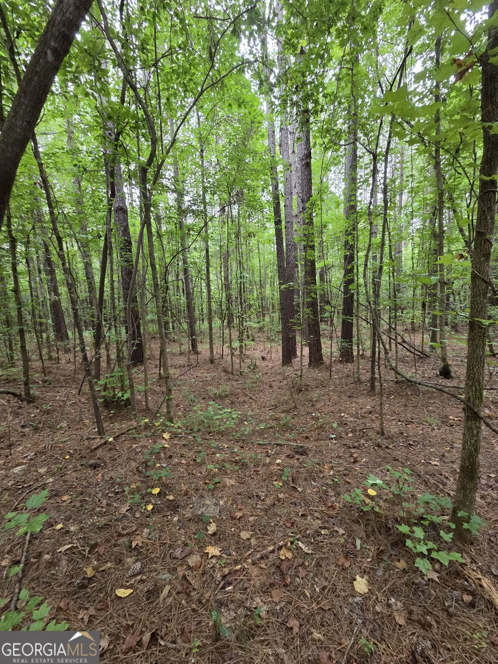 0 Brownlee Road Forsyth, GA 31029