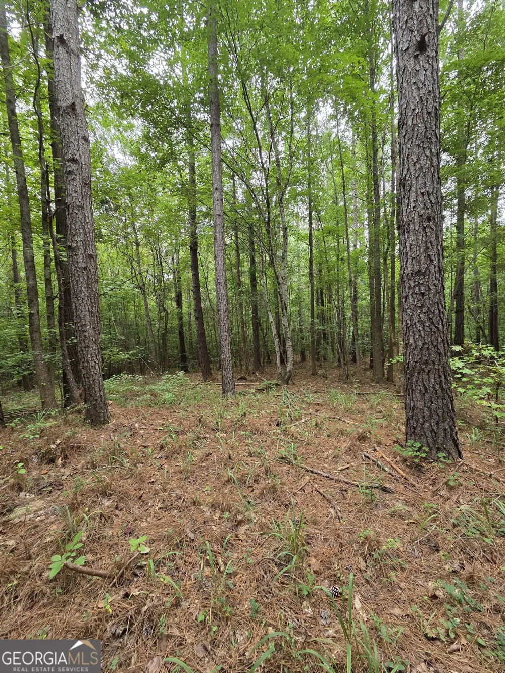 0 Brownlee Road Forsyth, GA 31029
