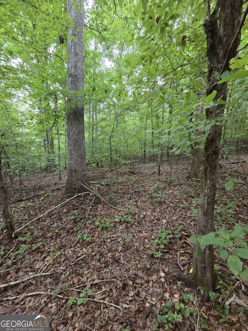0 Brownlee Road Forsyth, GA 31029