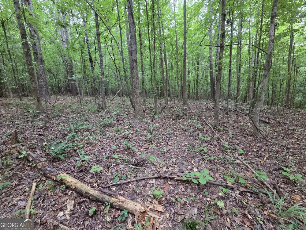 0 Brownlee Road Forsyth, GA 31029