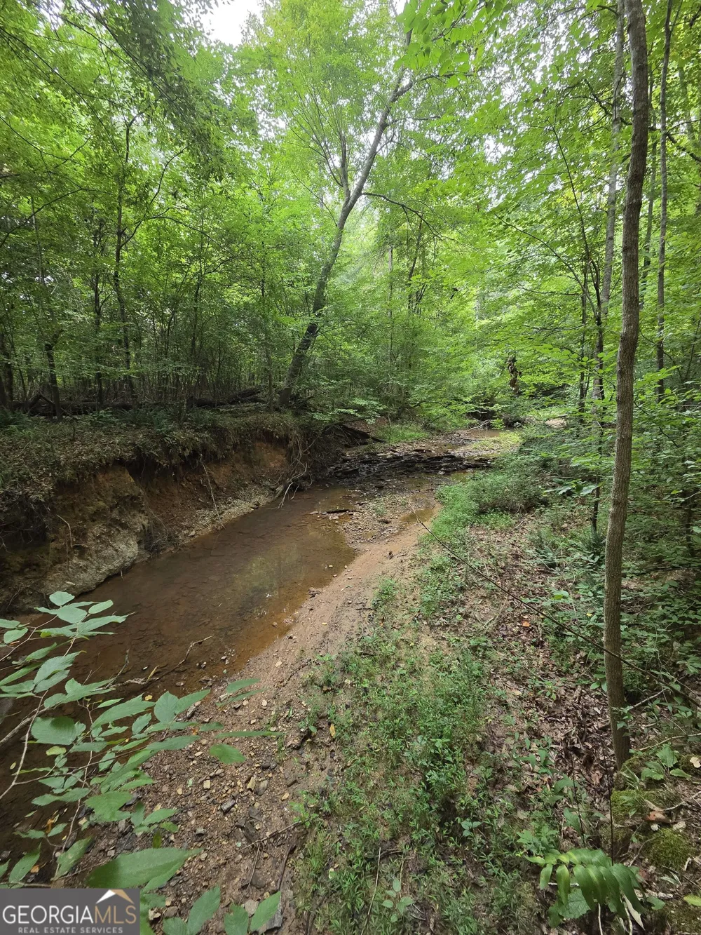 0 Brownlee Road Forsyth, GA 31029