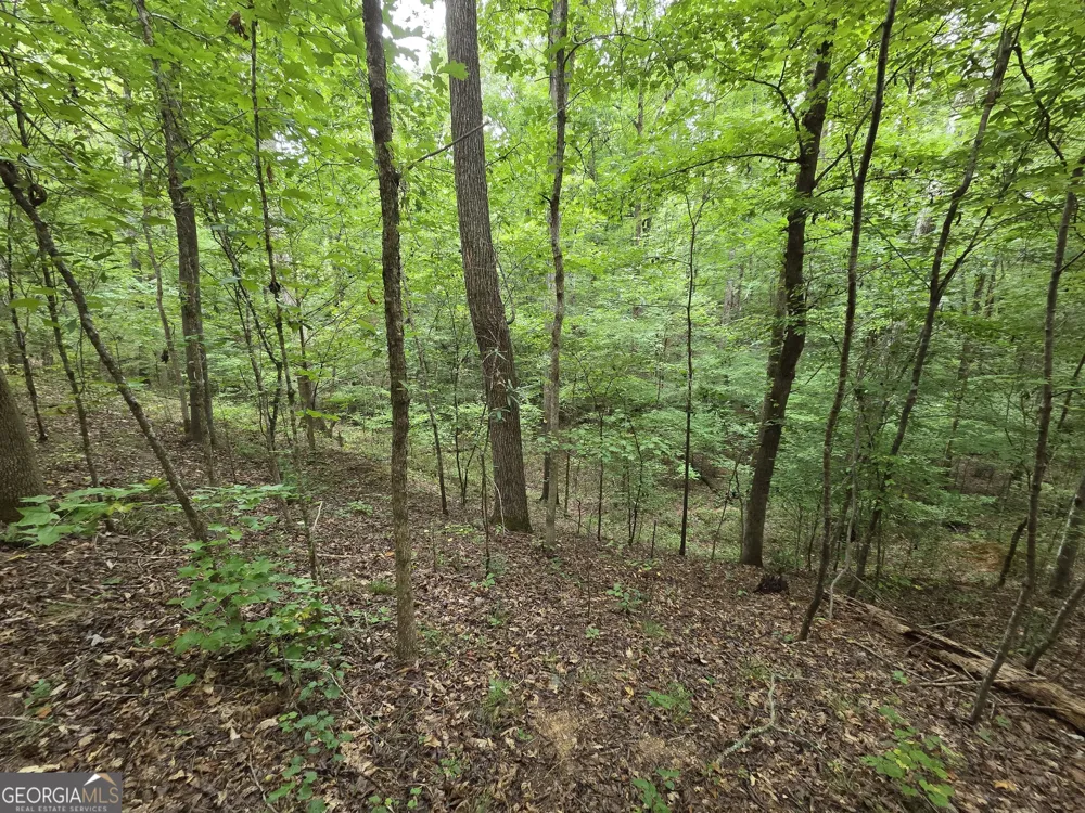 0 Brownlee Road Forsyth, GA 31029