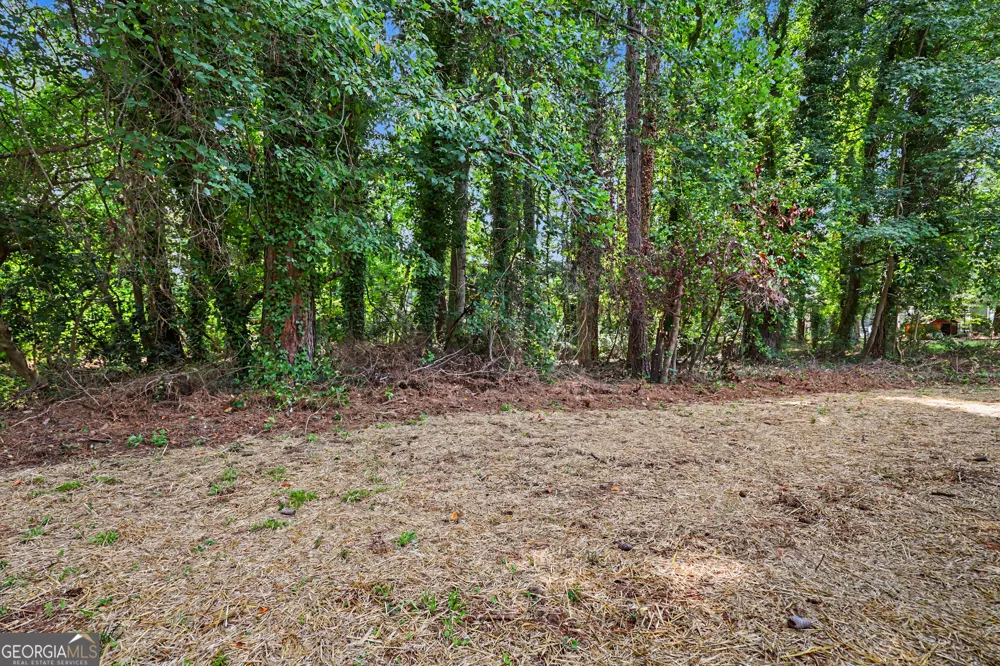 6200 Auburn DR Riverdale, GA 30296