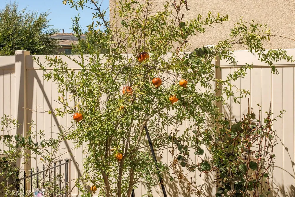 39099 Crown Ranch Rd Temecula, CA 92591
