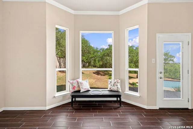 933 Great Tree San Antonio, TX 78260