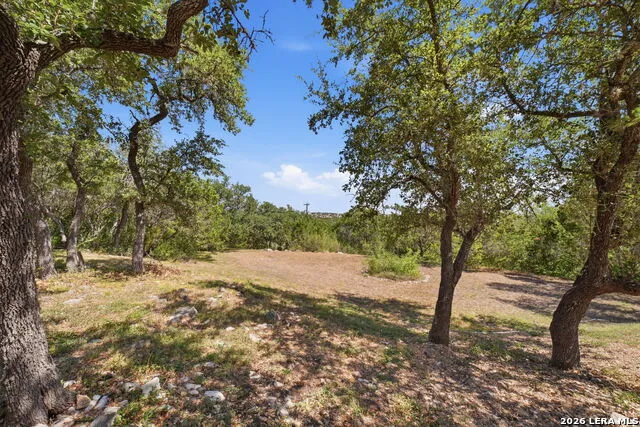 933 Great Tree San Antonio, TX 78260