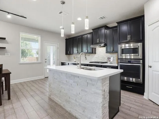 13203 BUCKTREE DR San Antonio, TX 78254