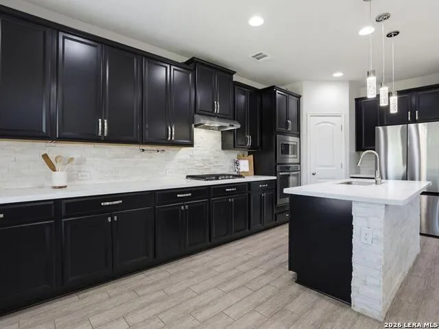13203 BUCKTREE DR San Antonio, TX 78254