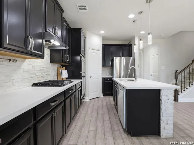 13203 BUCKTREE DR San Antonio, TX 78254
