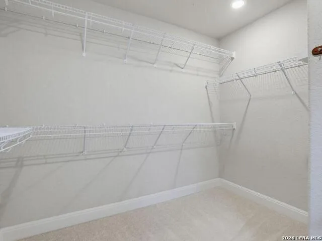 13203 BUCKTREE DR San Antonio, TX 78254