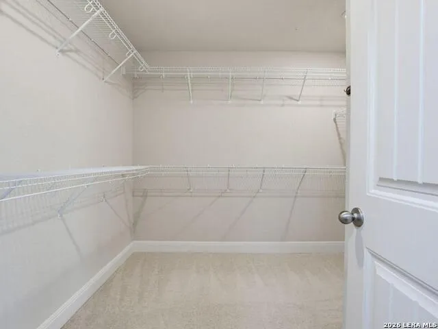 13203 BUCKTREE DR San Antonio, TX 78254