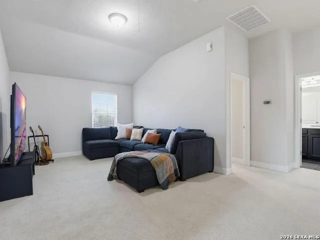 13203 BUCKTREE DR San Antonio, TX 78254