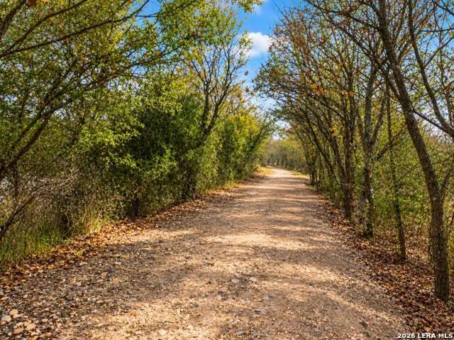 13203 BUCKTREE DR San Antonio, TX 78254