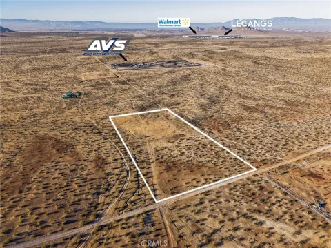 22725 Leaping Lizard Lane