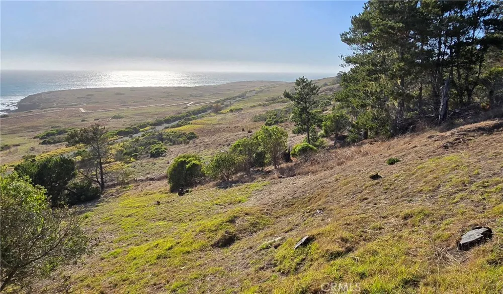 2541 Madison Cambria, CA 93428