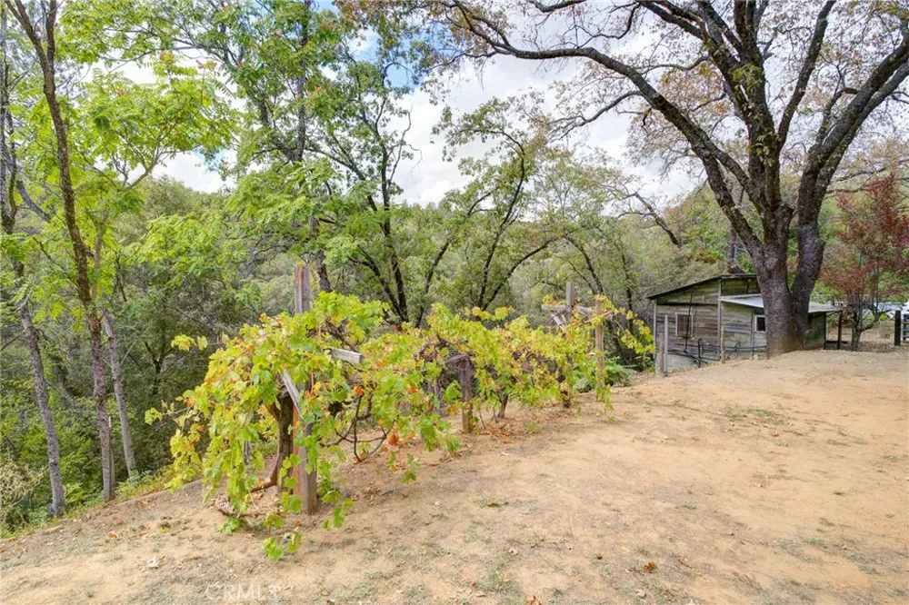 7260 La Porte Rackerby, CA 95972