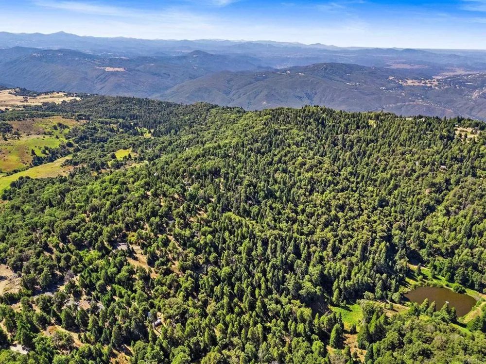 22520 Greenfield Palomar Mountain, CA 92060