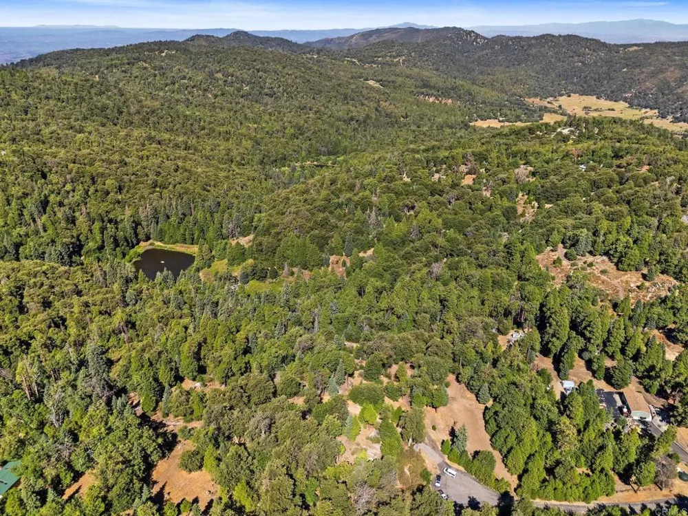 22520 Greenfield Palomar Mountain, CA 92060