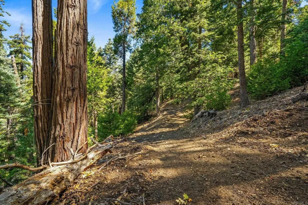 22520 Greenfield Palomar Mountain, CA 92060