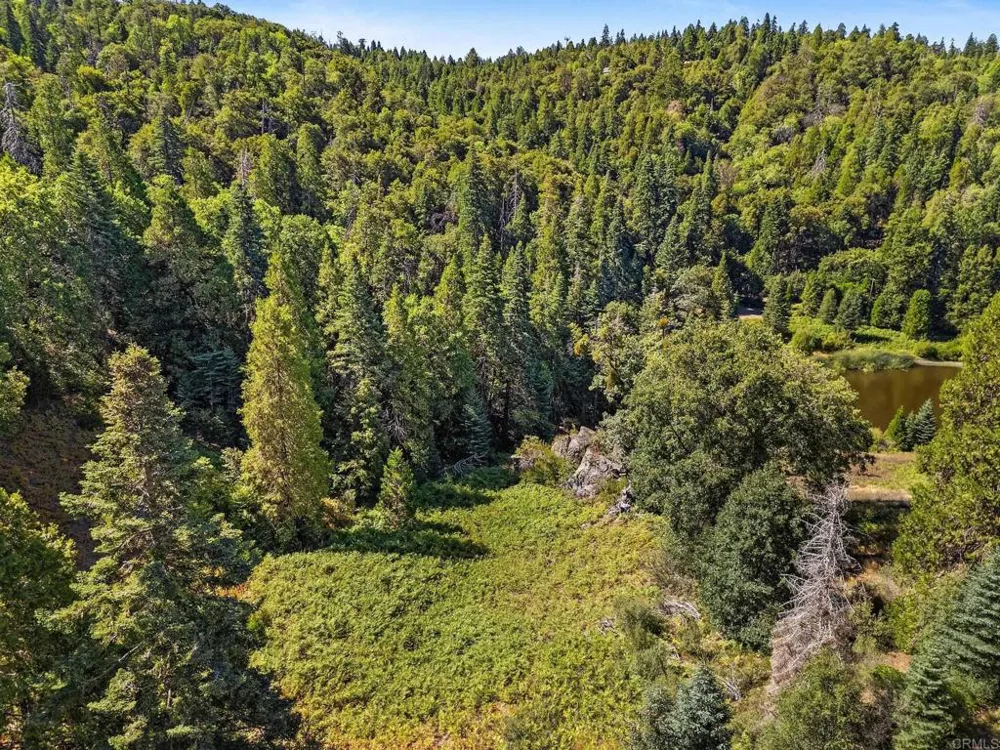 22520 Greenfield Palomar Mountain, CA 92060