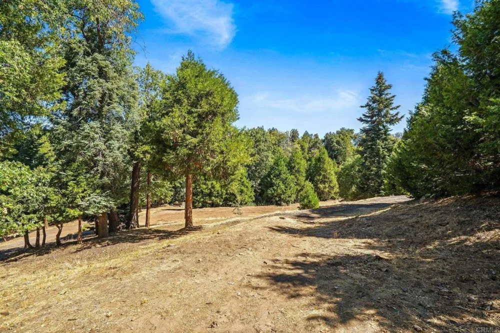 22520 Greenfield Palomar Mountain, CA 92060