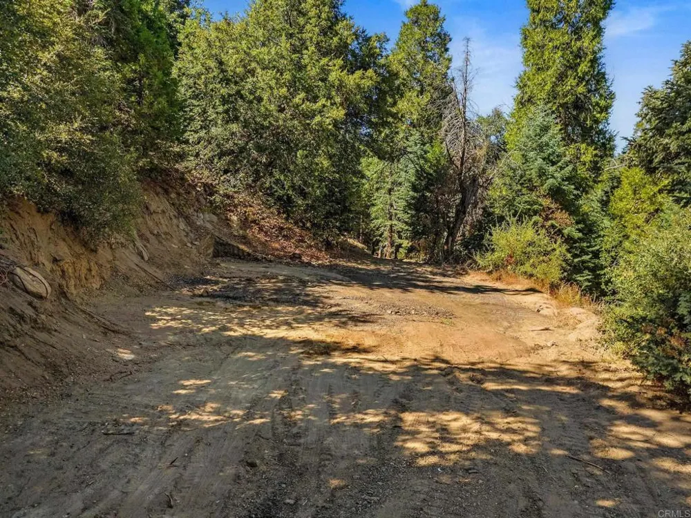 22520 Greenfield Palomar Mountain, CA 92060