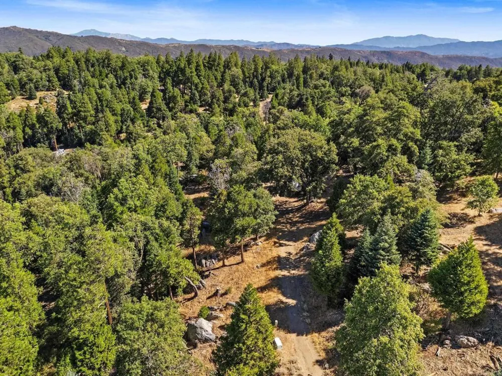22520 Greenfield Palomar Mountain, CA 92060