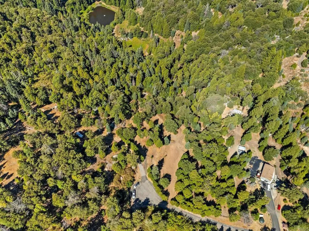 22520 Greenfield Palomar Mountain, CA 92060