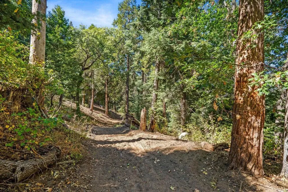 22520 Greenfield Palomar Mountain, CA 92060