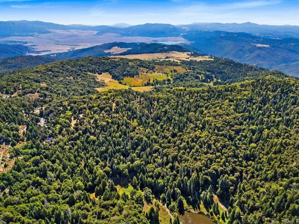 22520 Greenfield Palomar Mountain, CA 92060