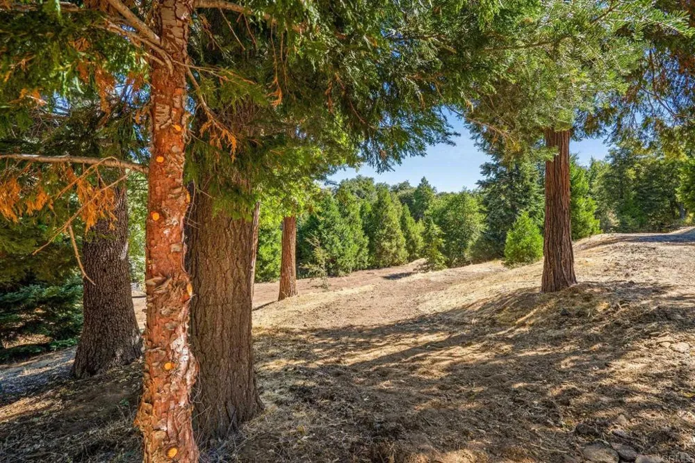 22520 Greenfield Palomar Mountain, CA 92060