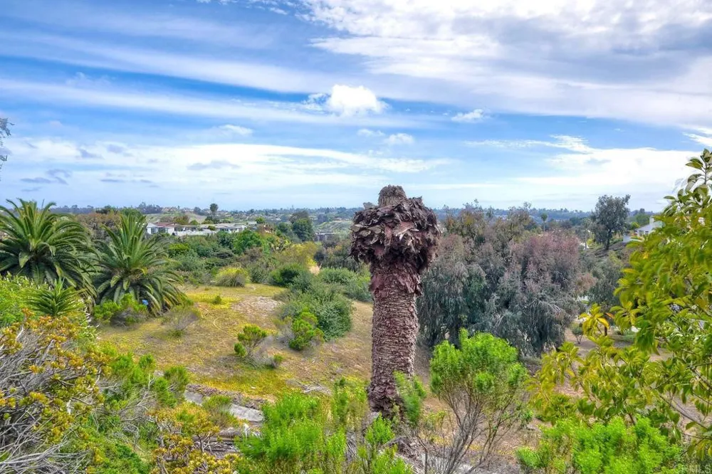 3113 Buena Hills Drive Oceanside, CA 92056