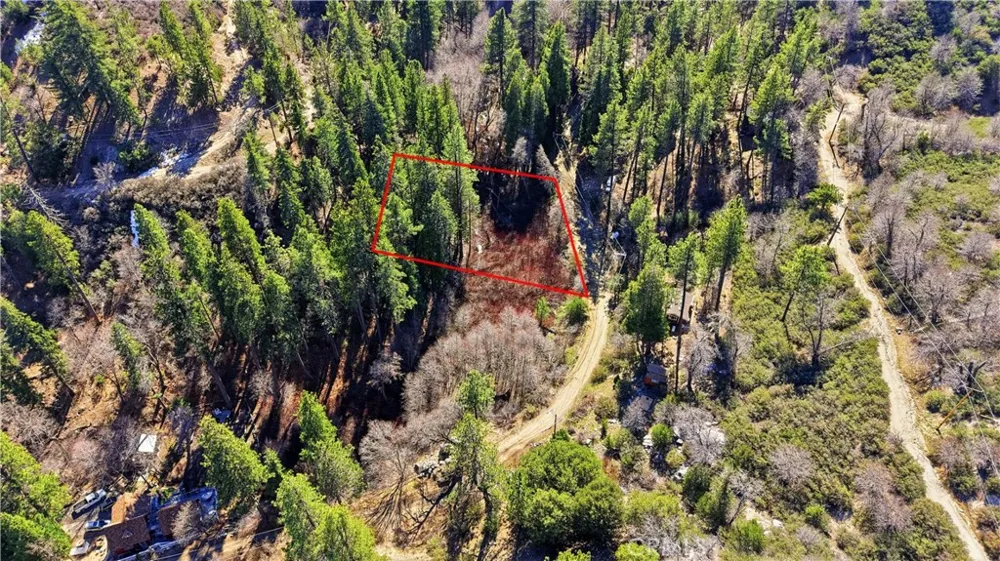 Little Bear Creek Road Cedar Glen, CA 92321