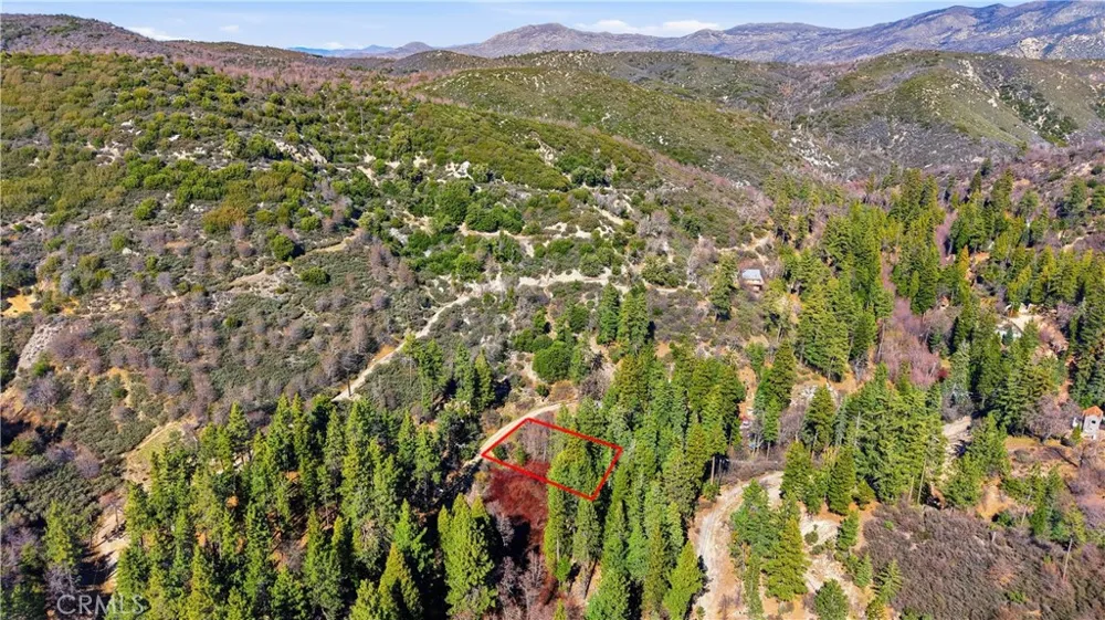Little Bear Creek Road Cedar Glen, CA 92321