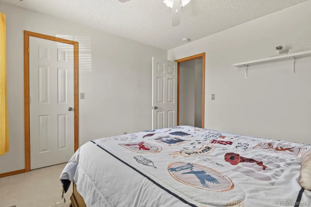 4912 Chariot Drive Colorado Springs, CO 80923
