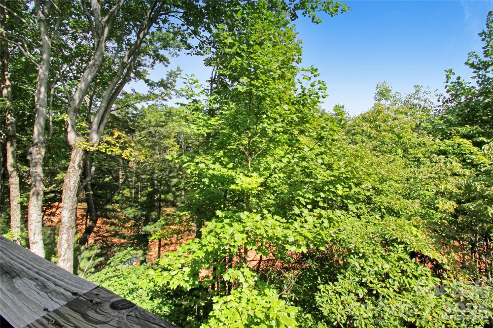 73 Toxaway Views Drive #303 Lake Toxaway, NC 28747