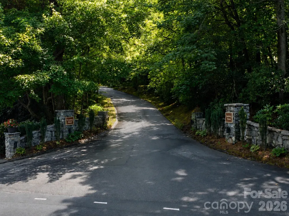 73 Toxaway Views Drive #303 Lake Toxaway, NC 28747