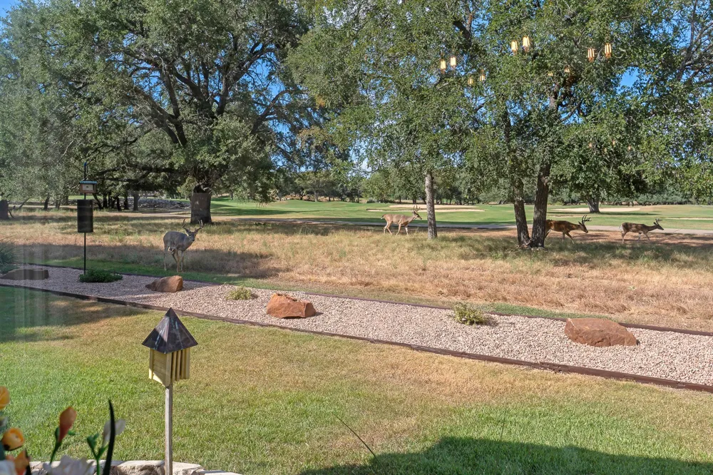 112 Blue Sky Court Georgetown, TX 78633