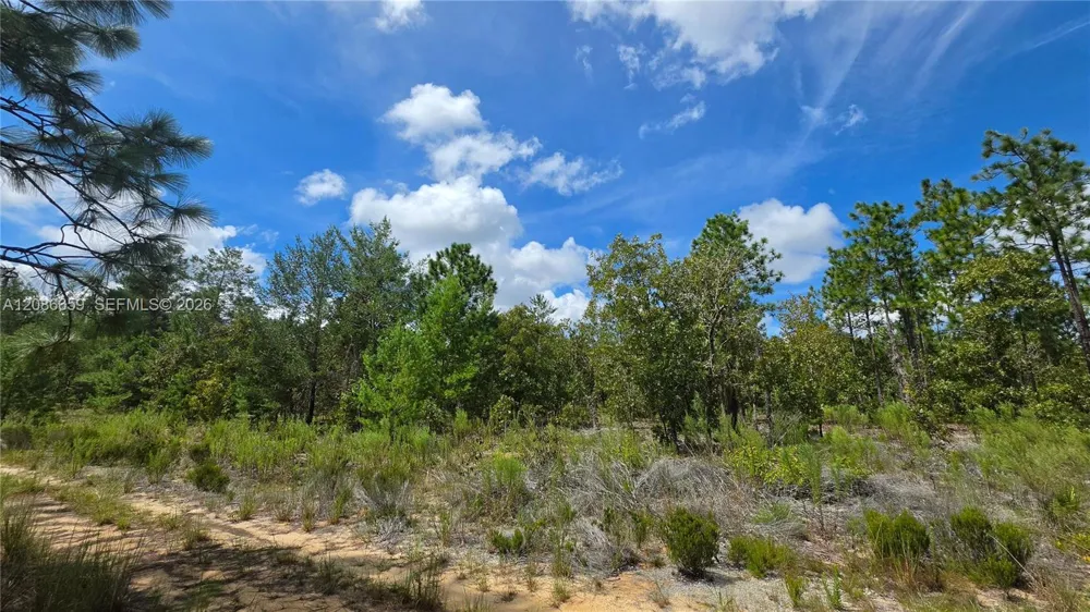 416 Trenton St Other City - In The State Of Florida, FL 32148