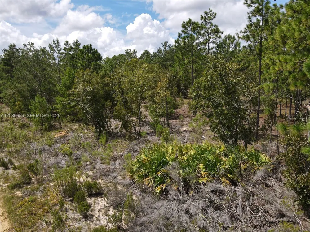 416 Trenton St Other City - In The State Of Florida, FL 32148
