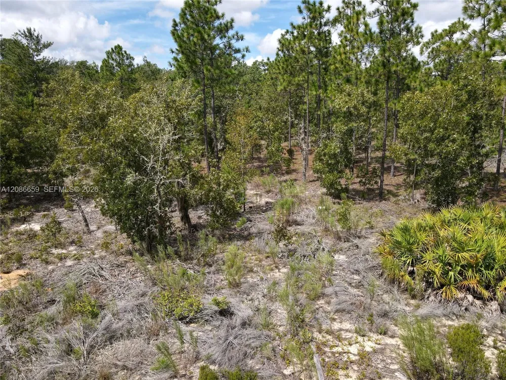 416 Trenton St Other City - In The State Of Florida, FL 32148