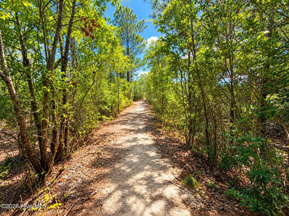 713 Zekes Wilmington, NC 28411