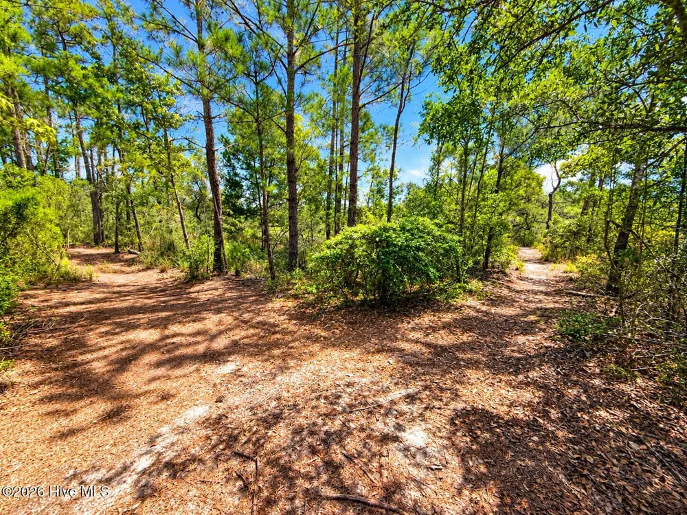 713 Zekes Wilmington, NC 28411
