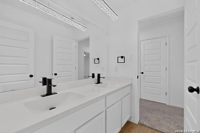 5306 LISA PT St Hedwig, TX 78152
