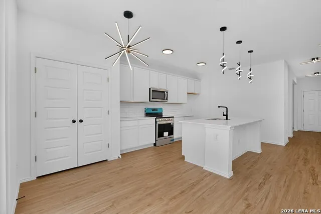 5306 LISA PT St Hedwig, TX 78152