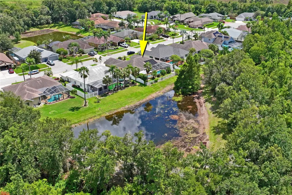 23218 CYPRESS TRAIL DRIVE Lutz, FL 33549