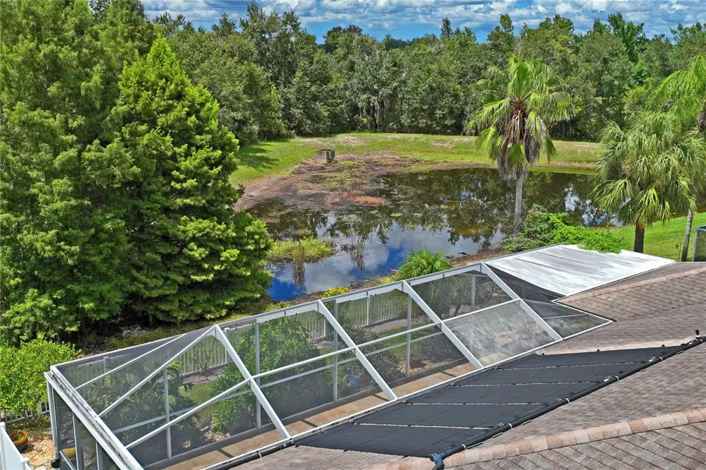 23218 CYPRESS TRAIL DRIVE Lutz, FL 33549
